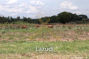 120 rai of Land in Chiang Khong for Sale