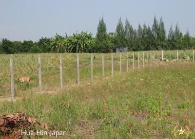 5 Rai of Land for sale near Wat Huay Mongkol Hua Hin