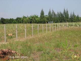 5 Rai of Land for sale near Wat Huay Mongkol Hua Hin