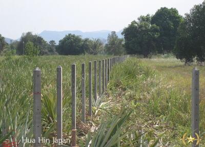 5 Rai of Land for sale near Wat Huay Mongkol Hua Hin