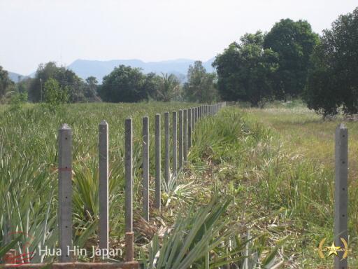 5 Rai of Land for sale near Wat Huay Mongkol Hua Hin