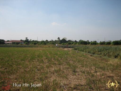 5 Rai of Land for sale near Wat Huay Mongkol Hua Hin