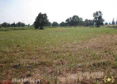 5 Rai of Land for sale near Wat Huay Mongkol Hua Hin