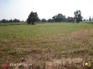 5 Rai of Land for sale near Wat Huay Mongkol Hua Hin