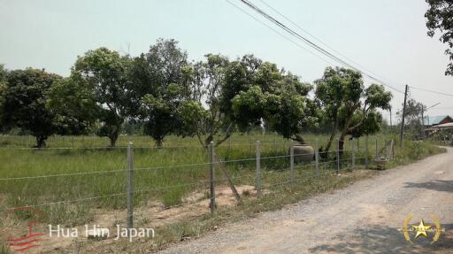 5 Rai of Land for sale near Wat Huay Mongkol Hua Hin