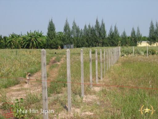 5 Rai of Land for sale near Wat Huay Mongkol Hua Hin