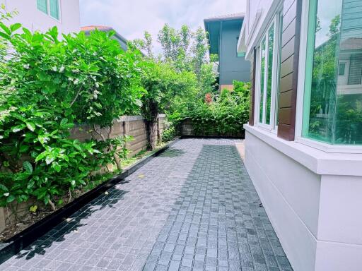 Outdoor pathway alongside a house with greenery