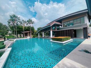 Modern house with large outdoor pool and surrounding greenery