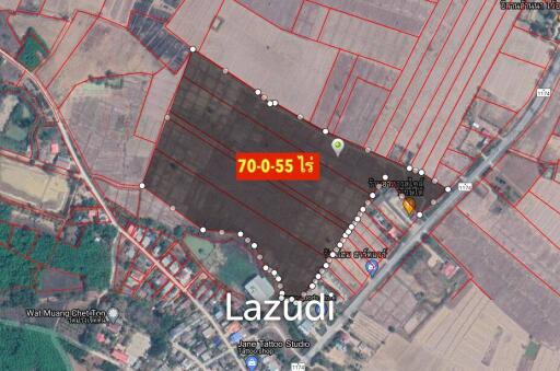 70 rai of Land in Chiang Khong for Sale