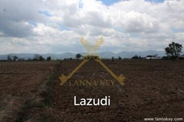 70 rai of Land in Chiang Khong for Sale