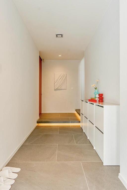 Modern hallway with minimalist decor