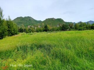 5.5 Rai Land in Samroiyod with Stunning Mountain View