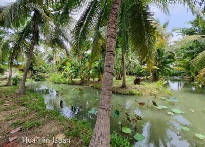 7 Rai Land on the way to Huay Mongkol Temple