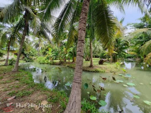 7 Rai Land on the way to Huay Mongkol Temple