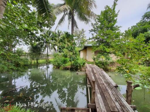 7 Rai Land on the way to Huay Mongkol Temple