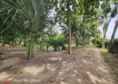 7 Rai Land on the way to Huay Mongkol Temple