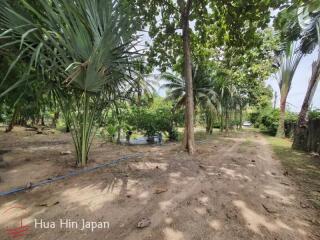 7 Rai Land on the way to Huay Mongkol Temple