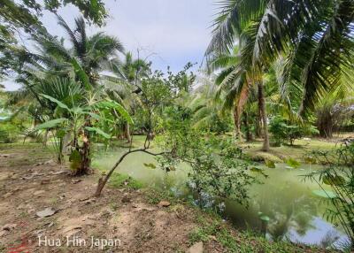 7 Rai Land on the way to Huay Mongkol Temple