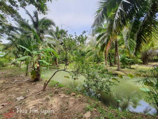 7 Rai Land on the way to Huay Mongkol Temple