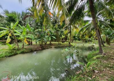 7 Rai Land on the way to Huay Mongkol Temple