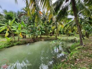 7 Rai Land on the way to Huay Mongkol Temple