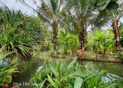 7 Rai Land on the way to Huay Mongkol Temple