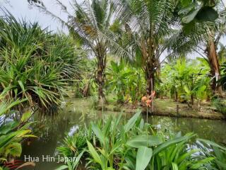 7 Rai Land on the way to Huay Mongkol Temple