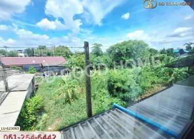 View of backyard and surrounding greenery from window