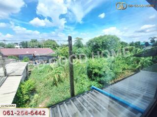 View of backyard and surrounding greenery from window