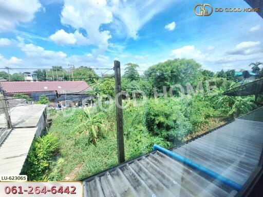 View of backyard and surrounding greenery from window