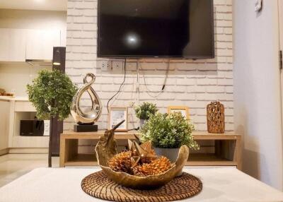 Living room with decorative elements and TV