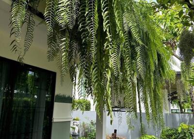 Front exterior of the house with lush greenery