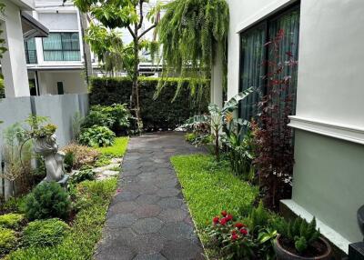 Beautifully landscaped garden with a well-maintained pathway