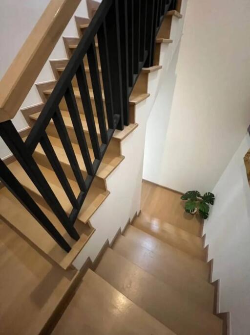 wooden staircase with black railings