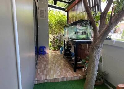 Covered outdoor area with fish tank and artificial grass