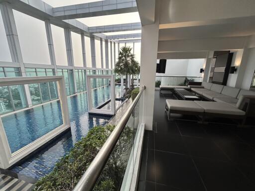 Rooftop pool area with lounge seating