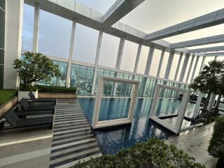 Modern Building Rooftop Pool Area