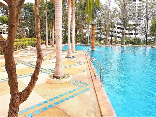 Swimming pool area with trees and loungers