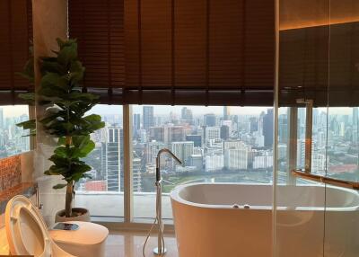 Bathroom with city view