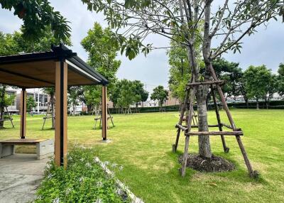 Outdoor garden area with green lawn and trees