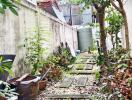 Garden with stone pathway and greenery