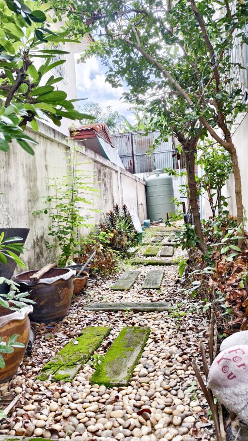 Garden with stone pathway and greenery