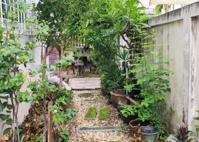 Beautiful garden with stone pathway and lush greenery