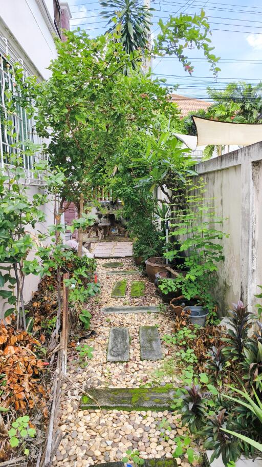 Beautiful garden with stone pathway and lush greenery