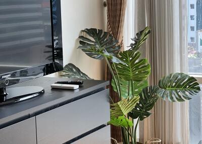 Bedroom with dresser, TV, and plant near window