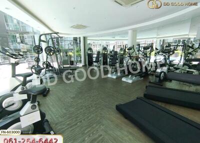 Spacious gym with various exercise equipment