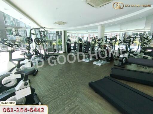 Spacious gym with various exercise equipment