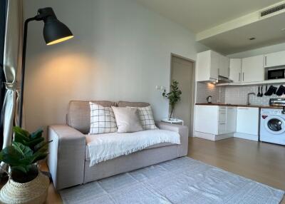 Modern living room with a grey sofa, kitchen appliances, and a potted plant