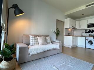 Modern living room with a grey sofa, kitchen appliances, and a potted plant