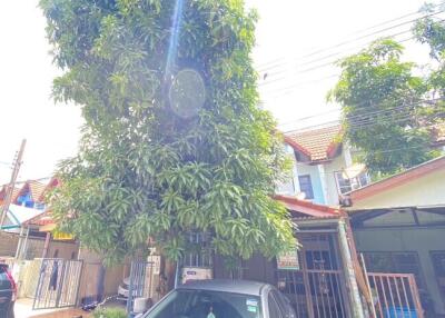 Front view of the house with a car parked under a tree